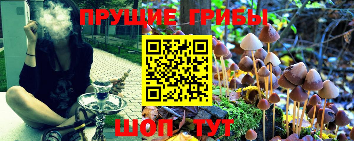 закладки  Вход с VPN  Советский  Галлюциногенные грибы мухоморы 